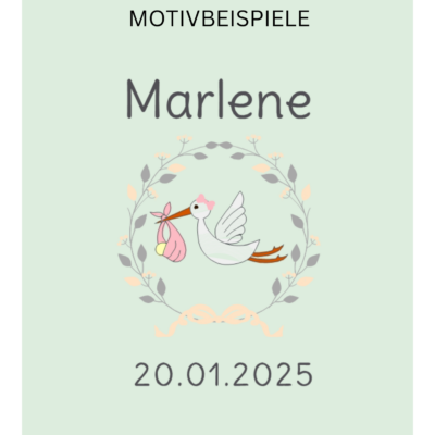 Stickbild Geburt Name und Datum